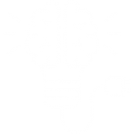 brain